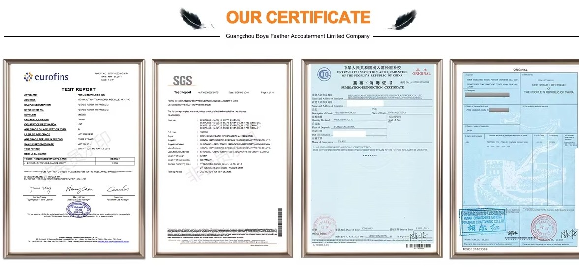 quality Millinery Feather factory
